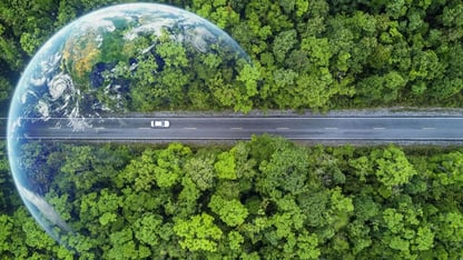 The real cost of sustainable business travel